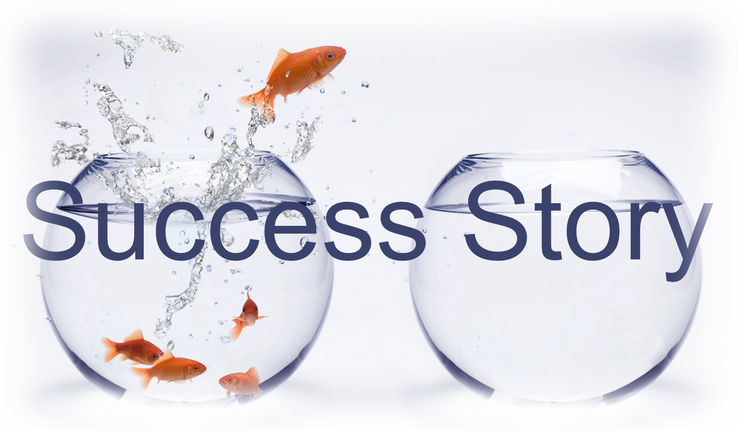 Success Stories